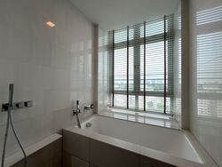 RESIDENCES AT EMERALD HILL (D9), Apartment #578851321